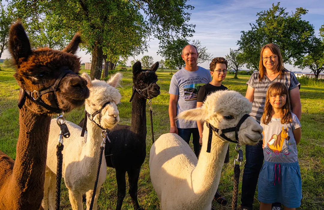 Alpakas Zöbingen - Über uns Alpakas Zöbingen - Über uns
